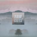 Chillhop Raw Cuts 2专辑