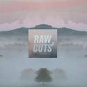 Chillhop Raw Cuts 2专辑