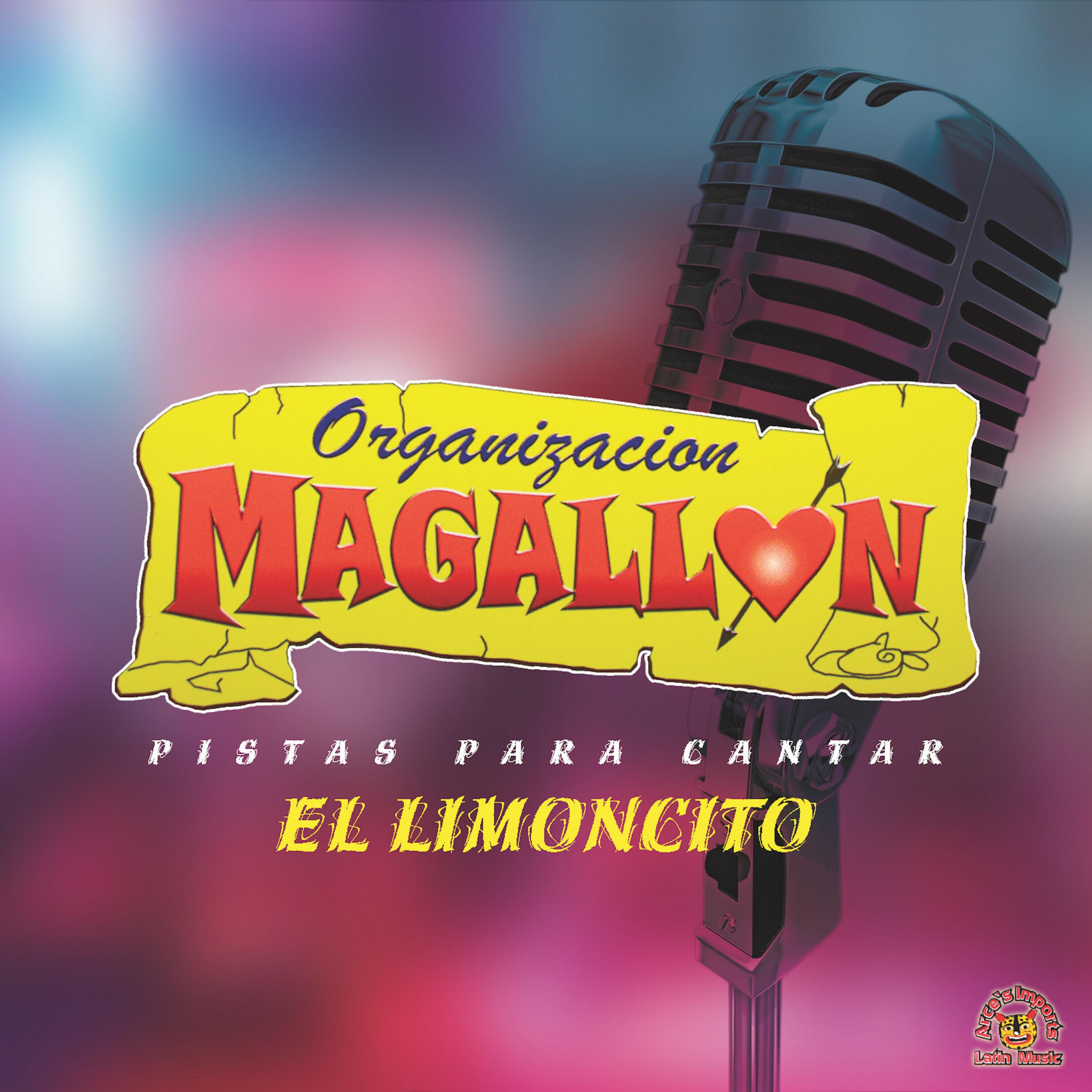 Pistas Para Cantar