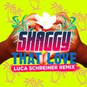 That Love (Luca Schreiner Remix)专辑