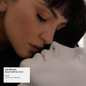 Julia Michaels - Sorry To Me Too (Pre-V) 带和声伴奏