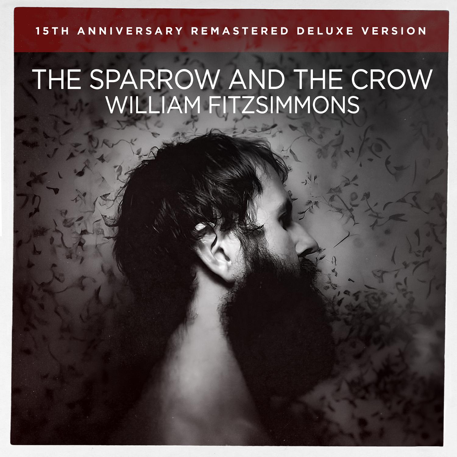 William Fitzsimmons - I Don't Feel It Anymore (Song of the Sparrow) [Remastered 2024]