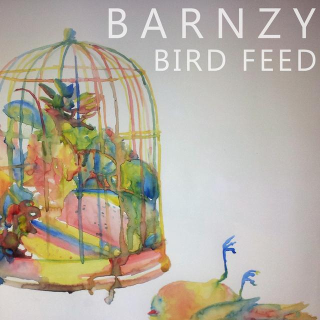 Barnzy - The Bird from Dee Why Park