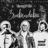 Shenguville - Mang Nemali (feat. Tebza)