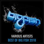 Best of Big Fish 2018专辑