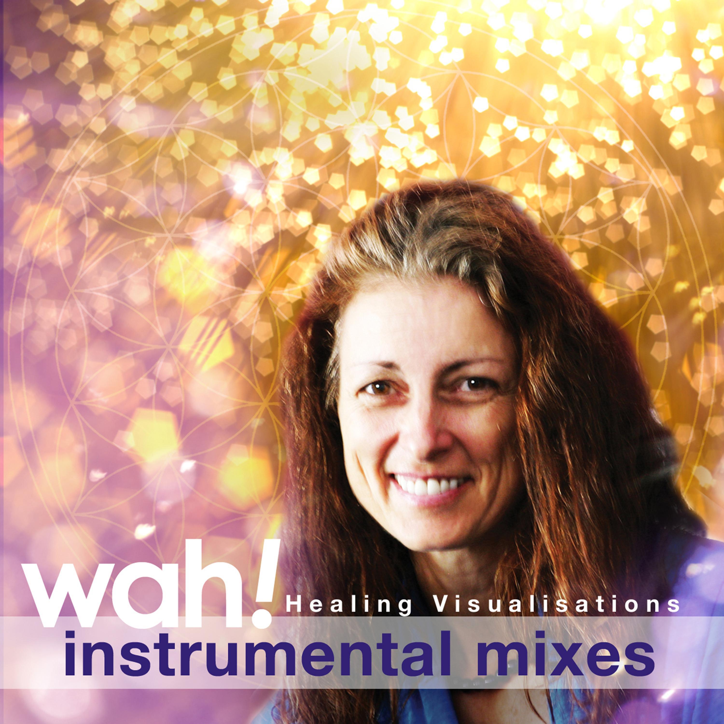 Healing Visualisations (Instrumental Mixes)专辑