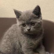 降速合集