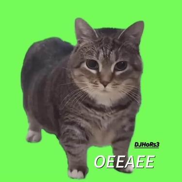 OEEAEE旋转猫