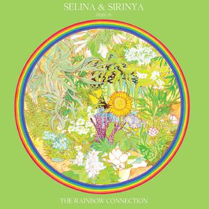 Selina - 梦(原版伴奏) （升5半音）