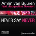 Never Say Never (Remixes)