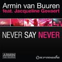 Never Say Never (Remixes)专辑
