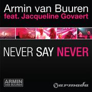 Never Say Never (Remixes)