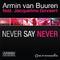 Never Say Never (Remixes)专辑