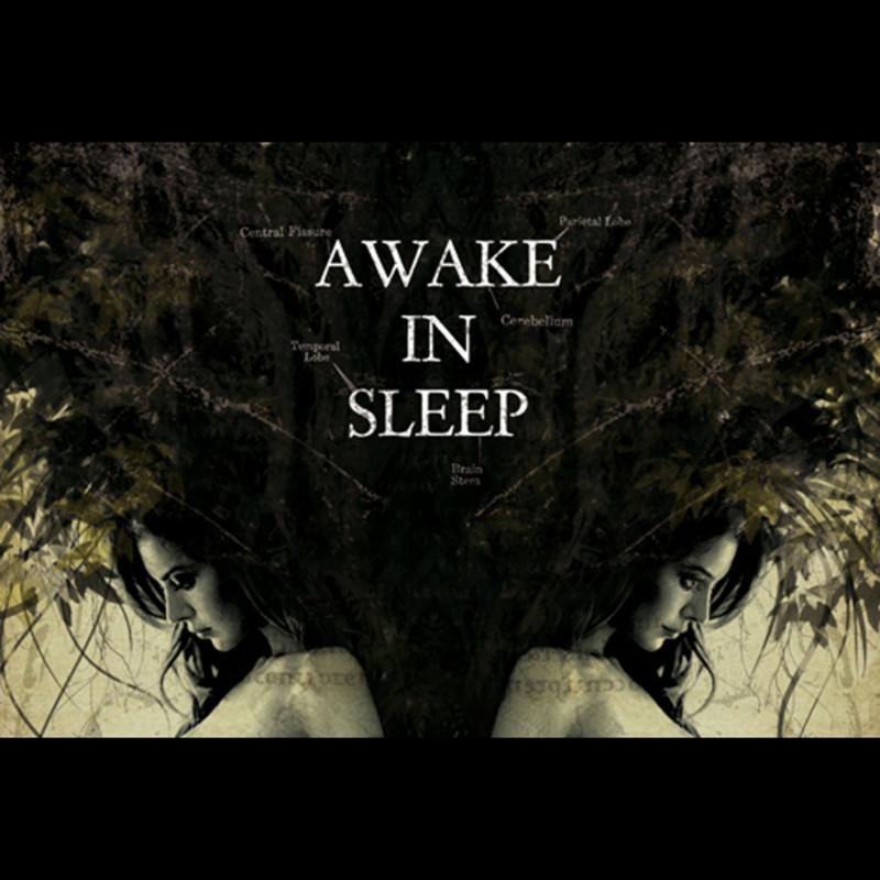 Awake in Sleep