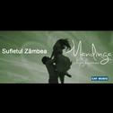 Sufletul Zambea专辑
