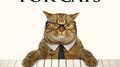 Calm Music For Cats: Relaxing Piano Background Music For Cats, Music For Pets, Pet Relaxation and Th专辑