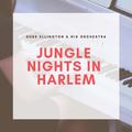 Jungle Nights in Harlem