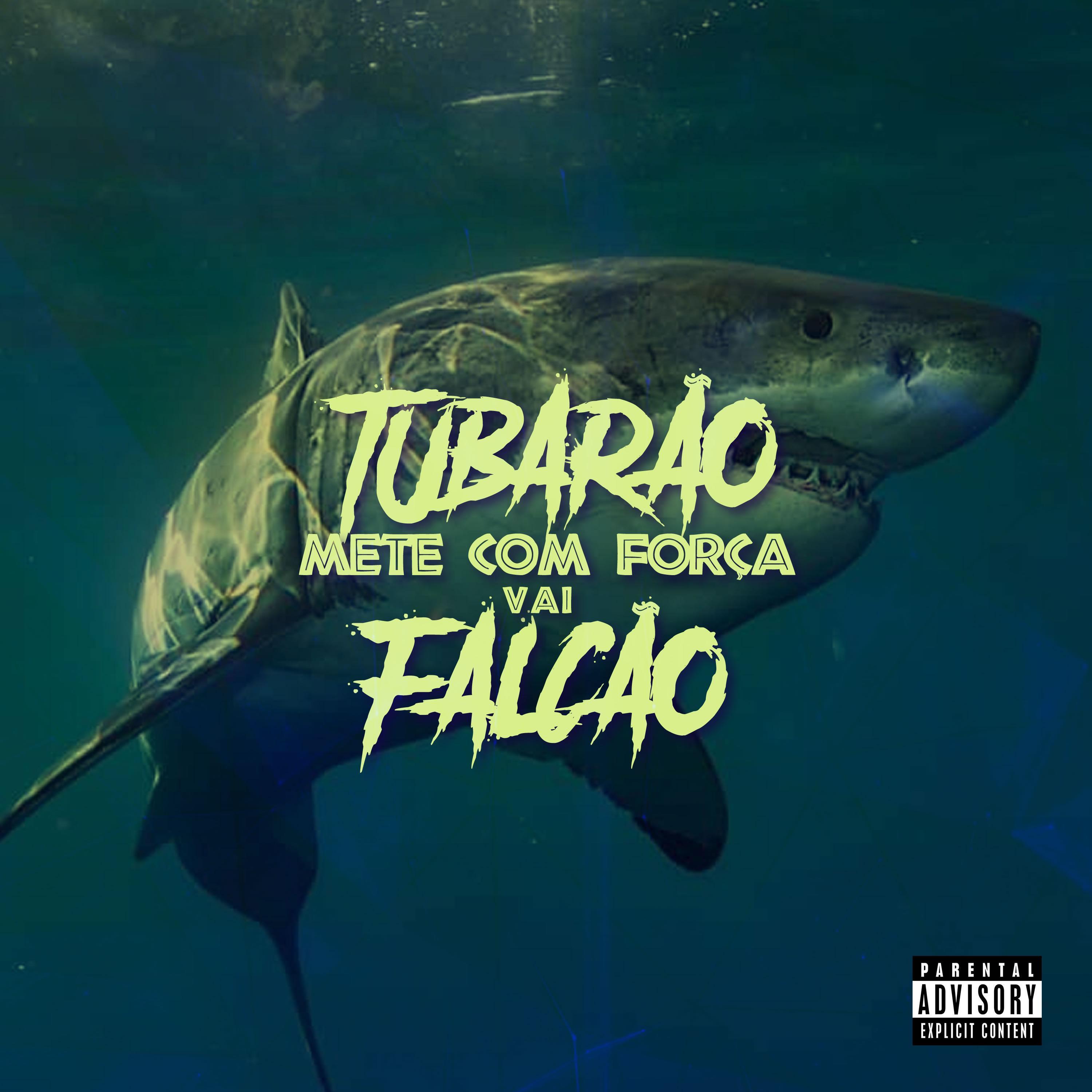 Mc Dhama - TUBARAO METE COM FORÇA VAI FALCAO METE COM FORÇA