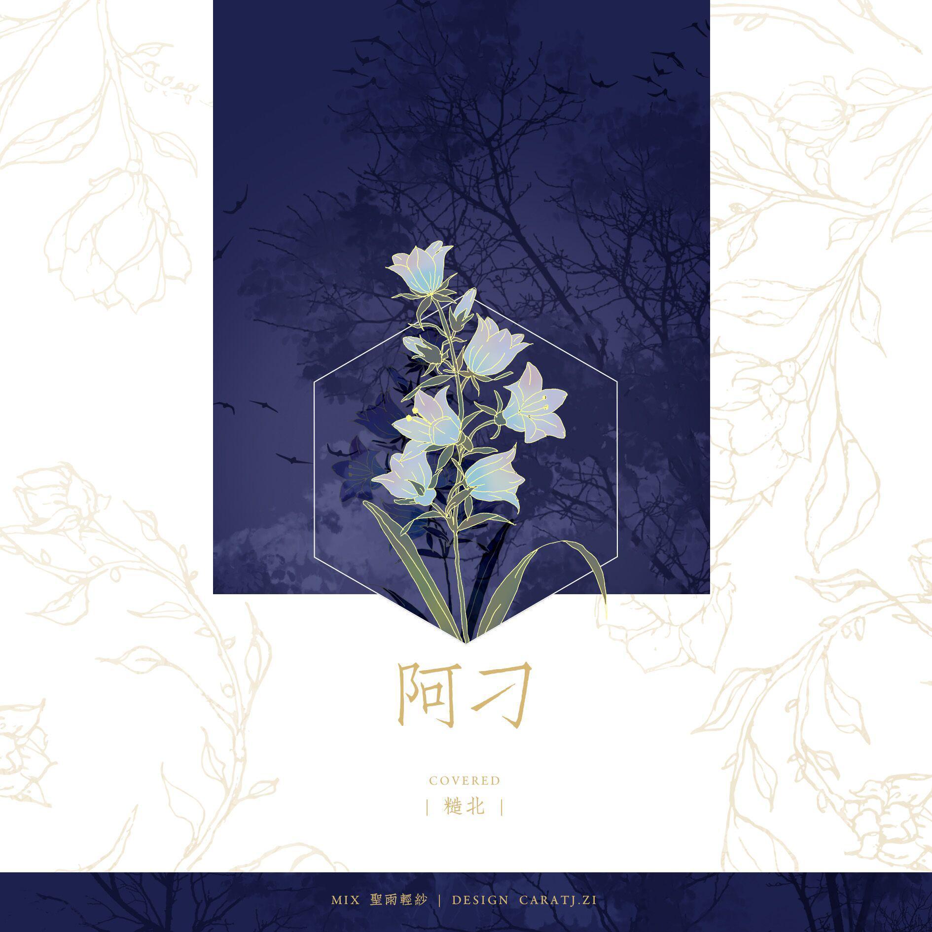 阿刁（张韶涵改编版）