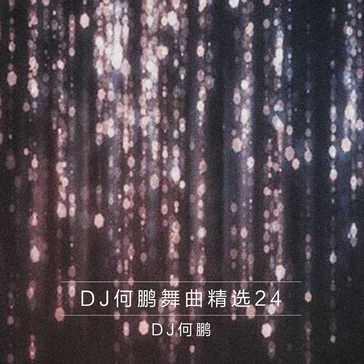 DJ何鹏舞曲精选集24专辑