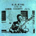 Live in Cook County Jail专辑
