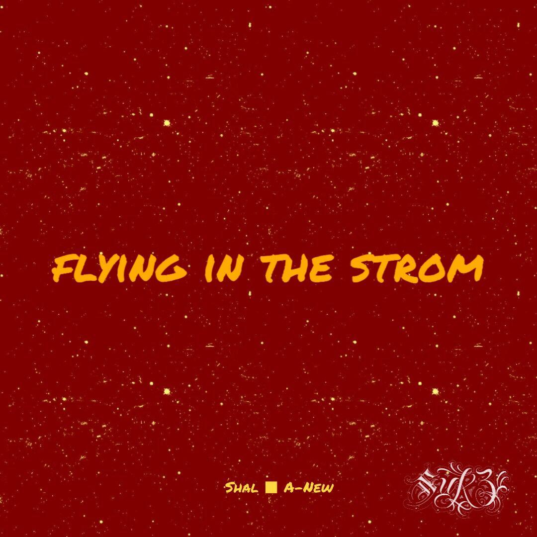 SLUVGA - Flying In The Storm