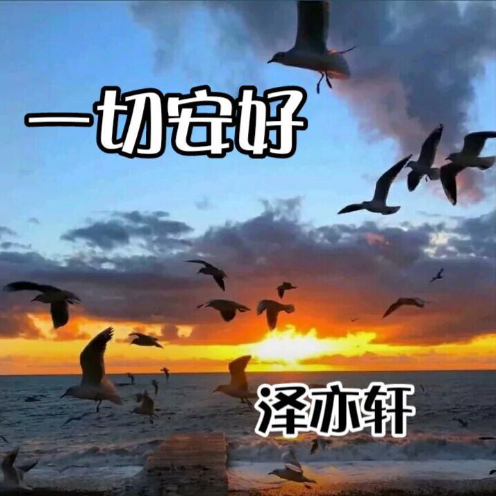 空城（DJ版）封面