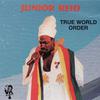 Junior Reid - New World Order