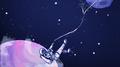 To The Moon And Back专辑
