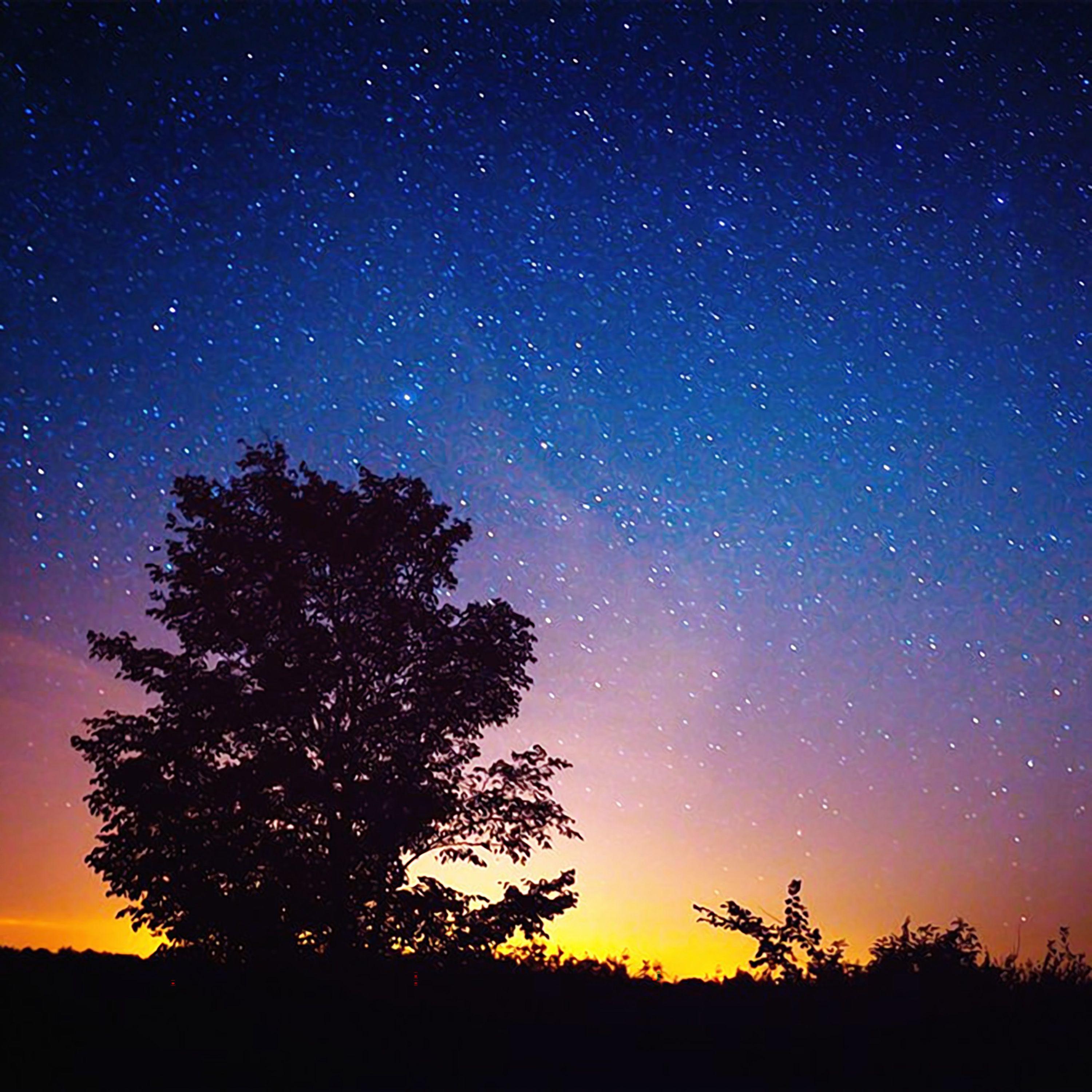 舒缓心情 轻松疗愈