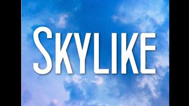 Skylike