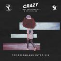 Crazy (Tomorrowland Intro Mix)专辑