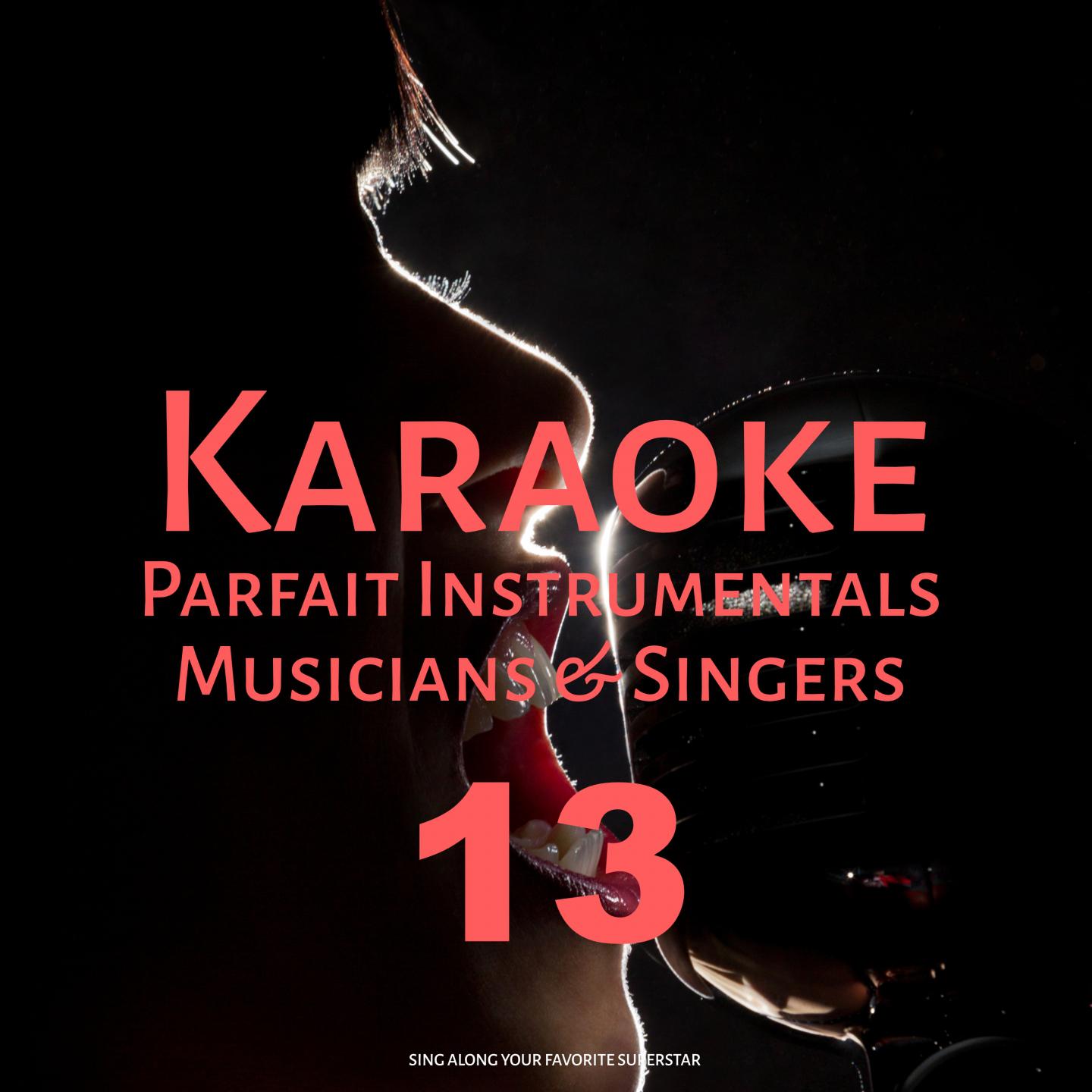 Karaoke Parfait Instrumentals Musicians & Singers, Vol. 13专辑