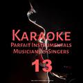 Karaoke Parfait Instrumentals Musicians & Singers, Vol. 13