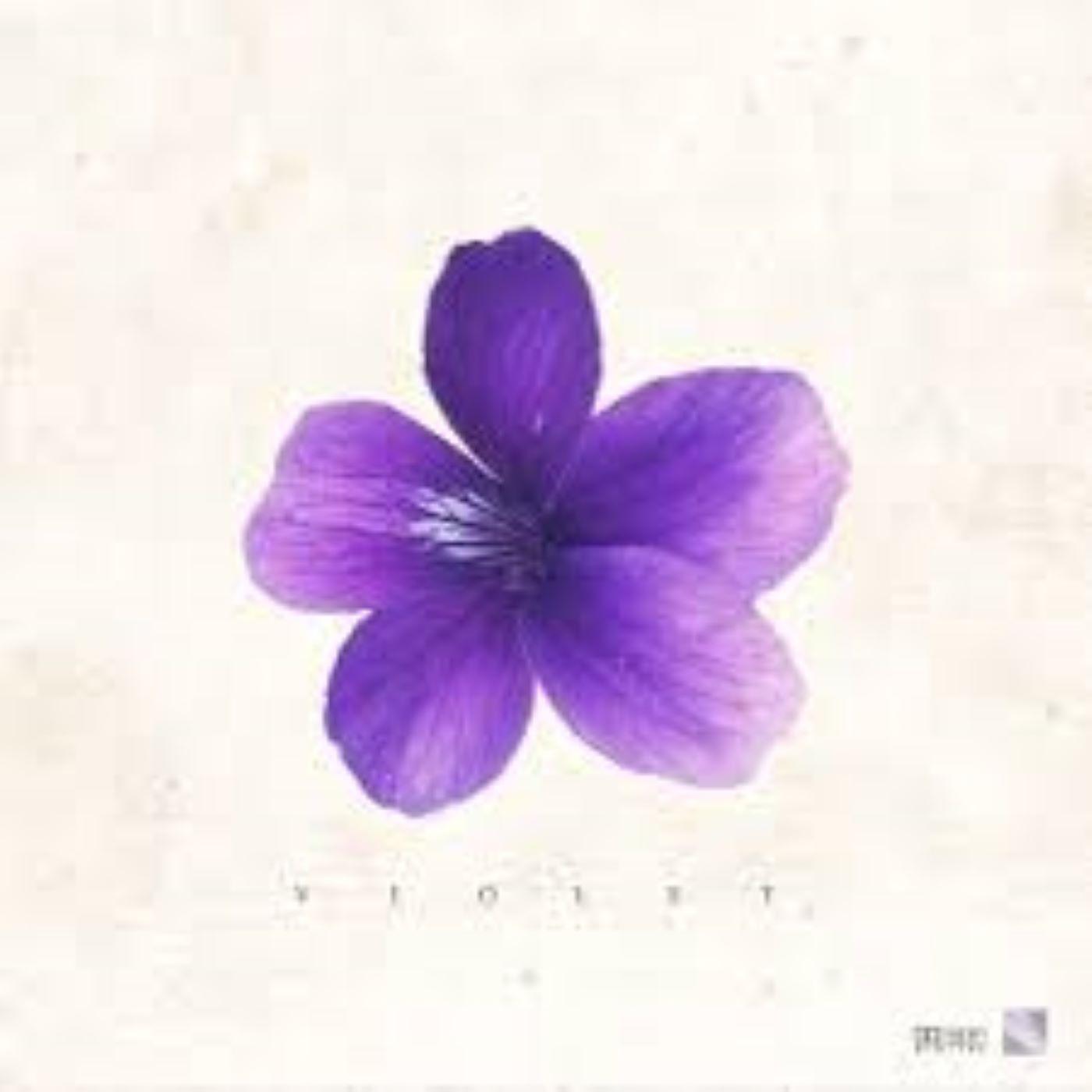 Violet