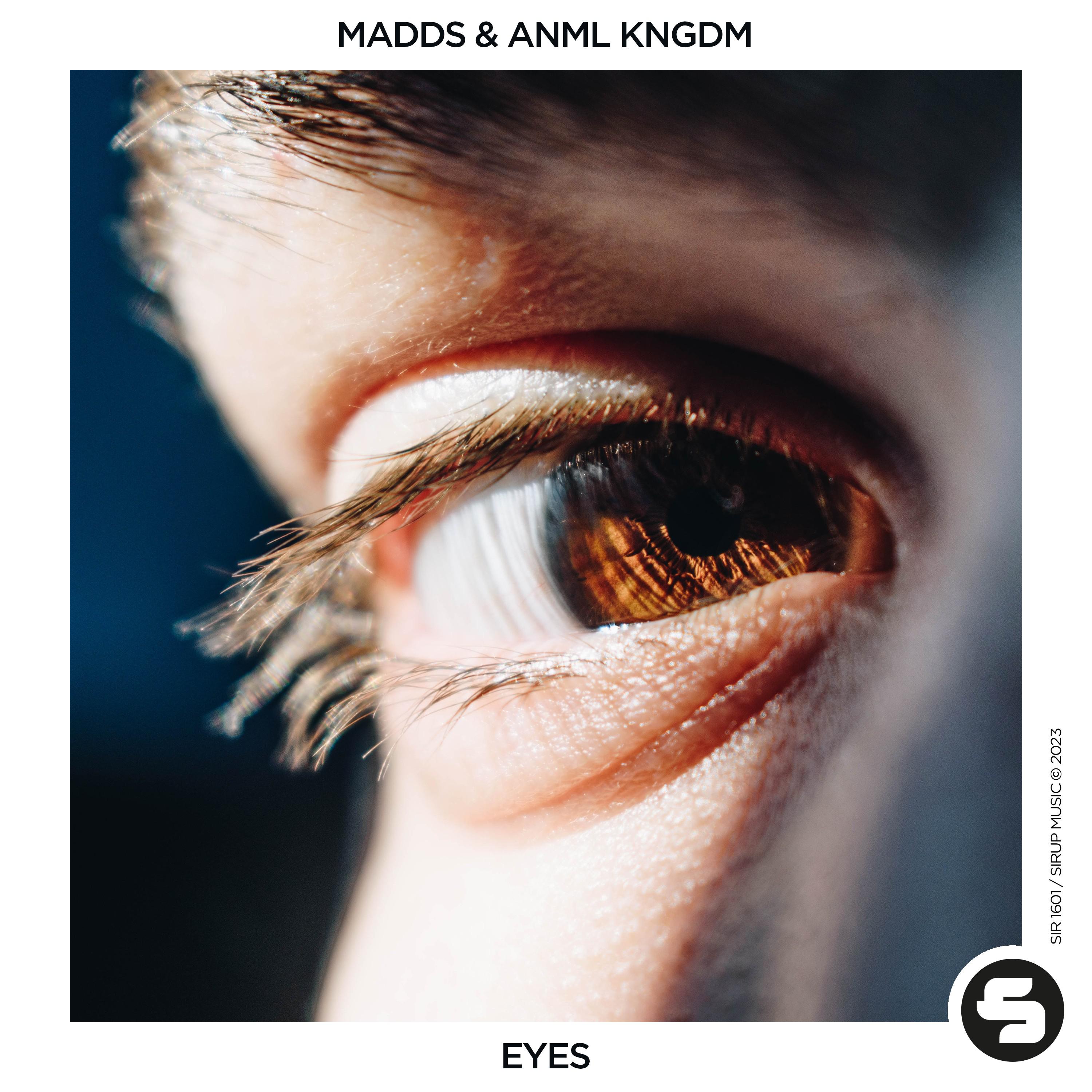 MADDS - Eyes (Extended Mix)