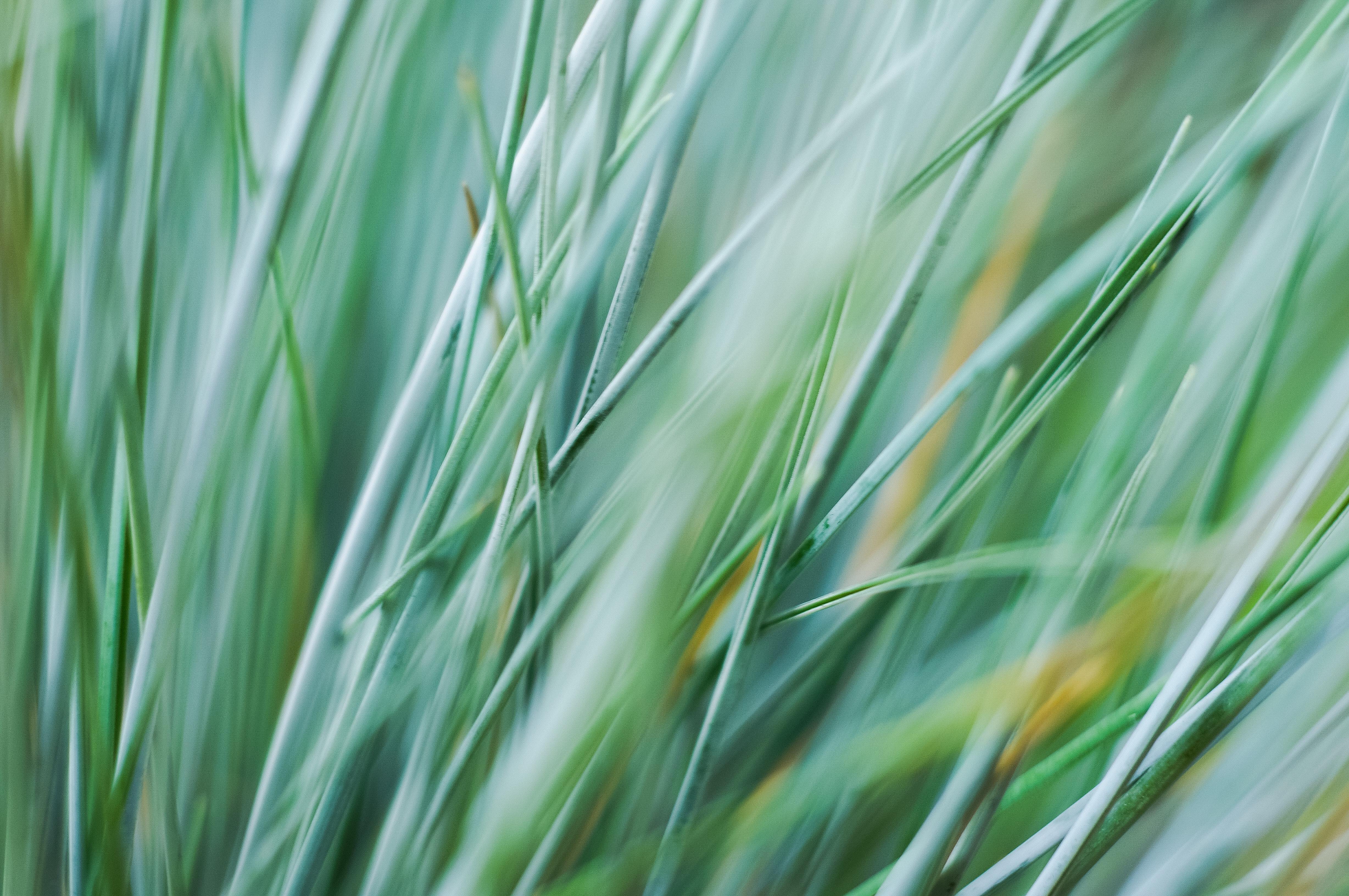 Progress Is Made from Love | Nature's Blessing, Relaxation and Healing Music Therapy