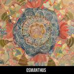 Osmanthus专辑