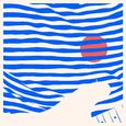 The Striped Album