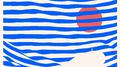 The Striped Album专辑