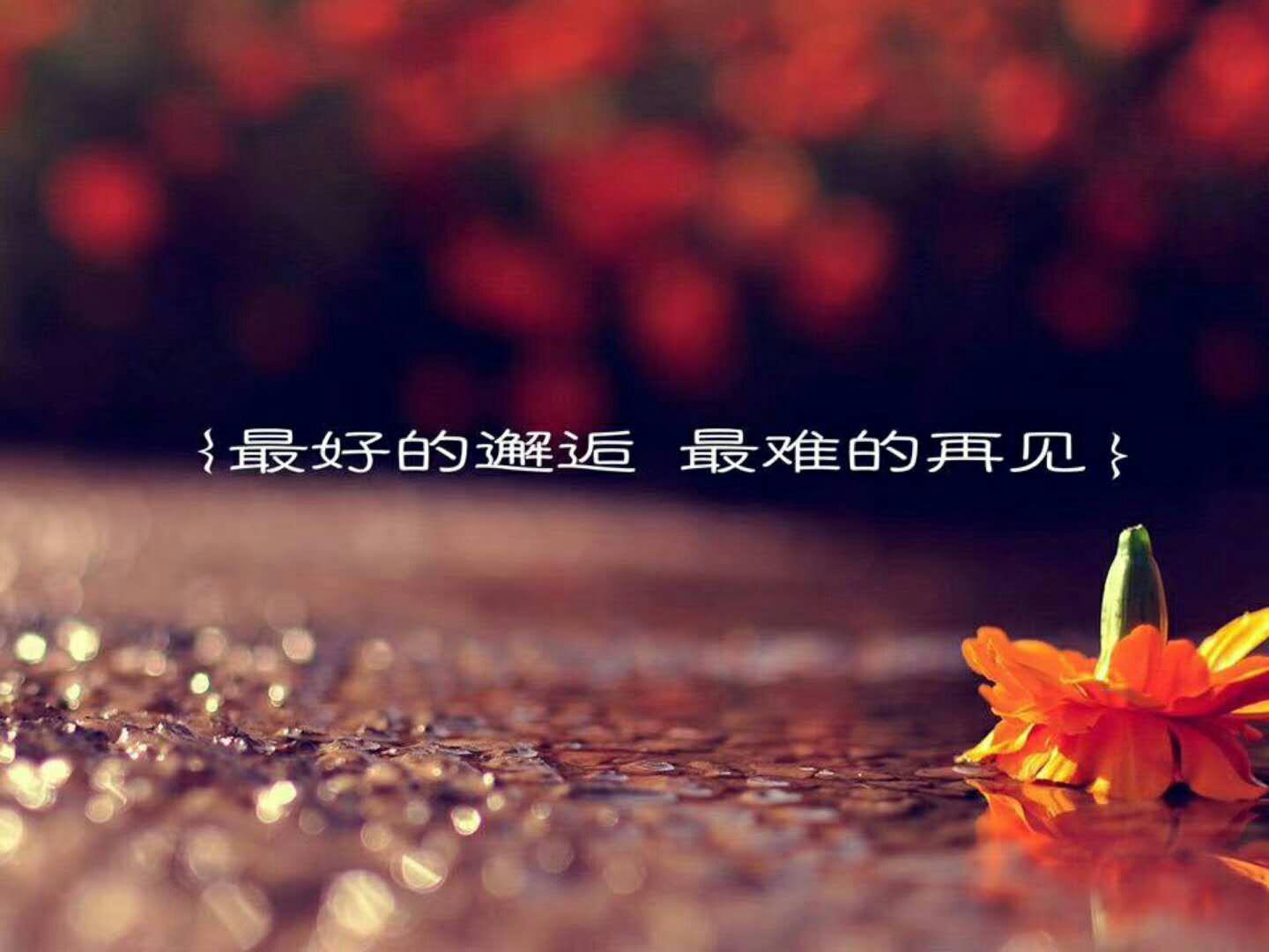 《月光下》专辑