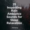 Relaxation Music Guru - Rainy, Stormy Night