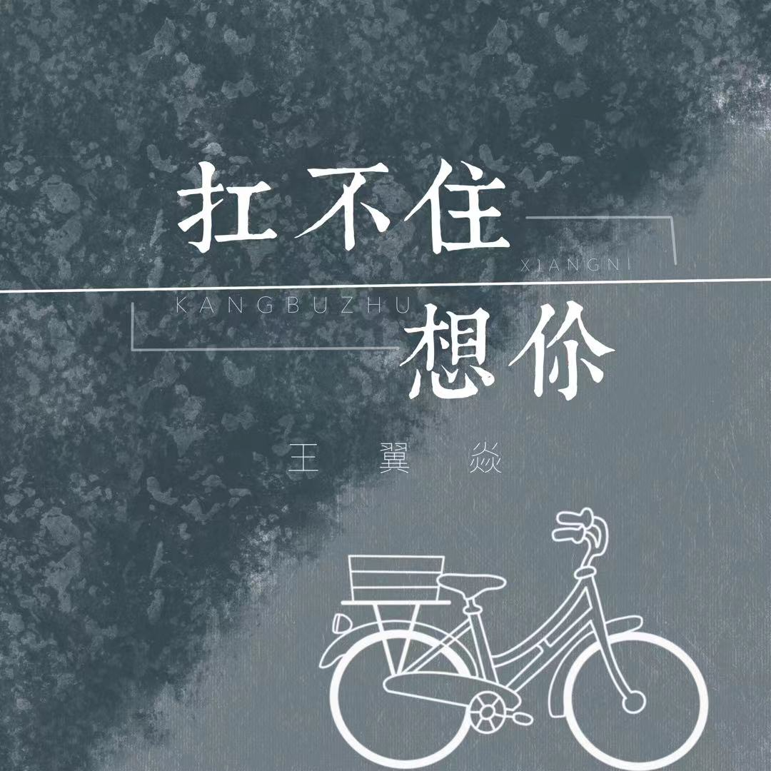 扛不住想你专辑