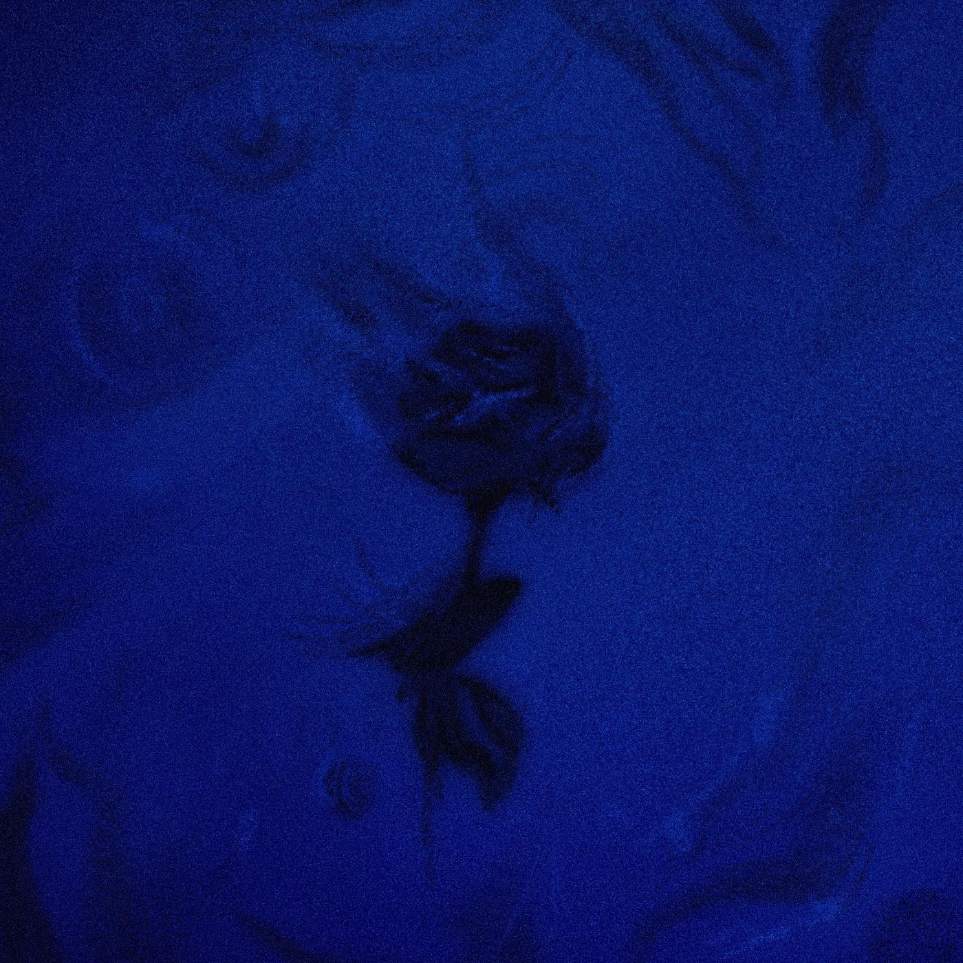 看清生活（See Life Clearly）