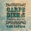 CARPE DIEM -blooming days ver.- (instrumental)