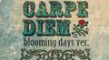 CARPE DIEM -blooming days ver.-专辑