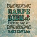 CARPE DIEM -blooming days ver.-专辑