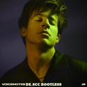 Voicenotes (DE_SCC Bootlegs)专辑