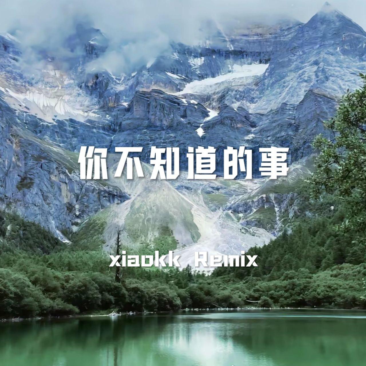 你不知道的事 dj（xiaokk Remix）