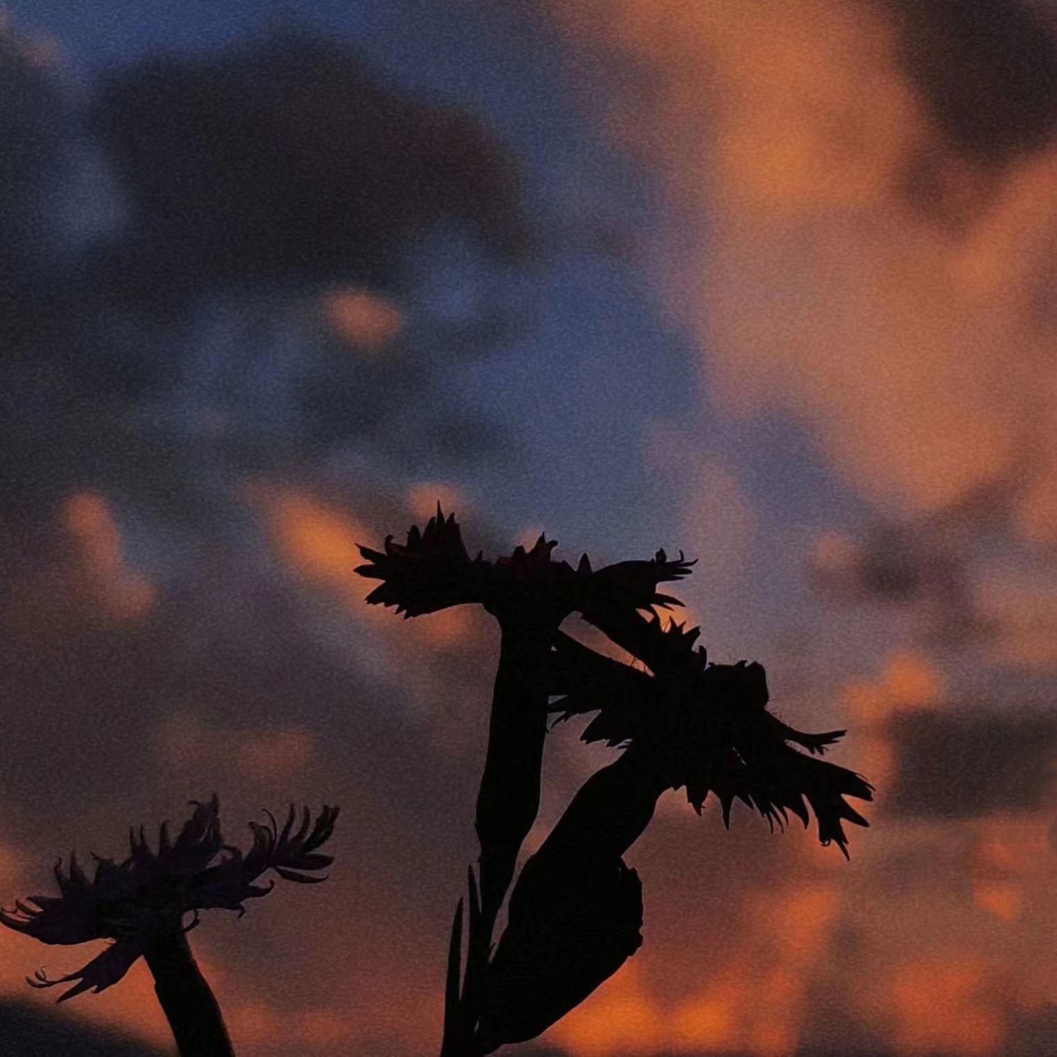 剧本式心动(Prod.by Yn1Jasper)